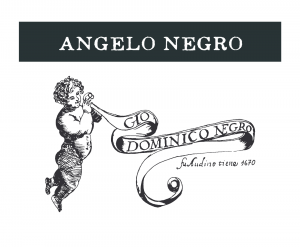 Logo Angelo Negro