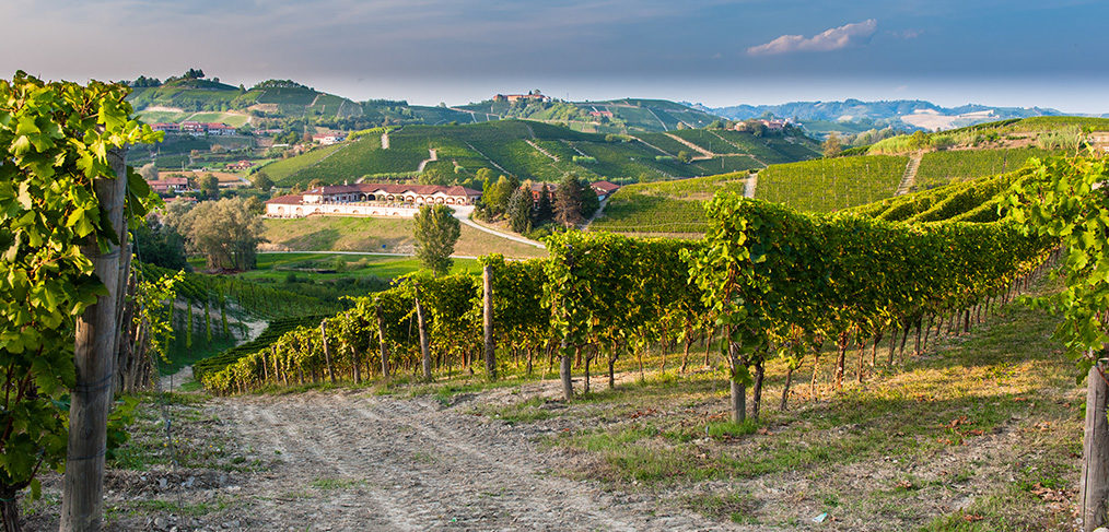 le docg del piemonte