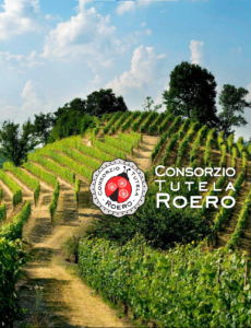 Ebook Wines of Roero